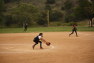 20120421088.jpg